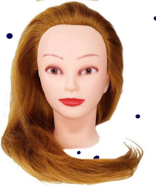 70:30 hairstyling dummy