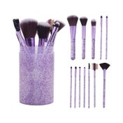 Beautiliss Professional Glitter Dust Makeup Brush with Storage Case (12 pcs)